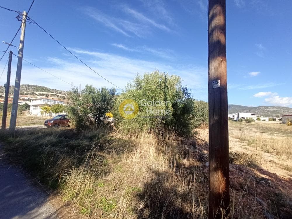 Parcel in Zofria, Ano Liosia — Photo 2 of 8
