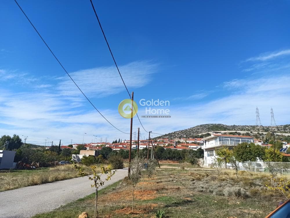 Parcel in Zofria, Ano Liosia — Photo 7 of 8