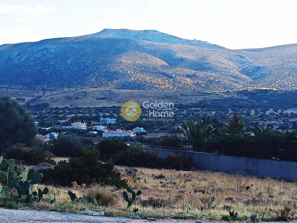 Parcel in Kalivia, Kalivia Thorikou — Photo 13 of 13