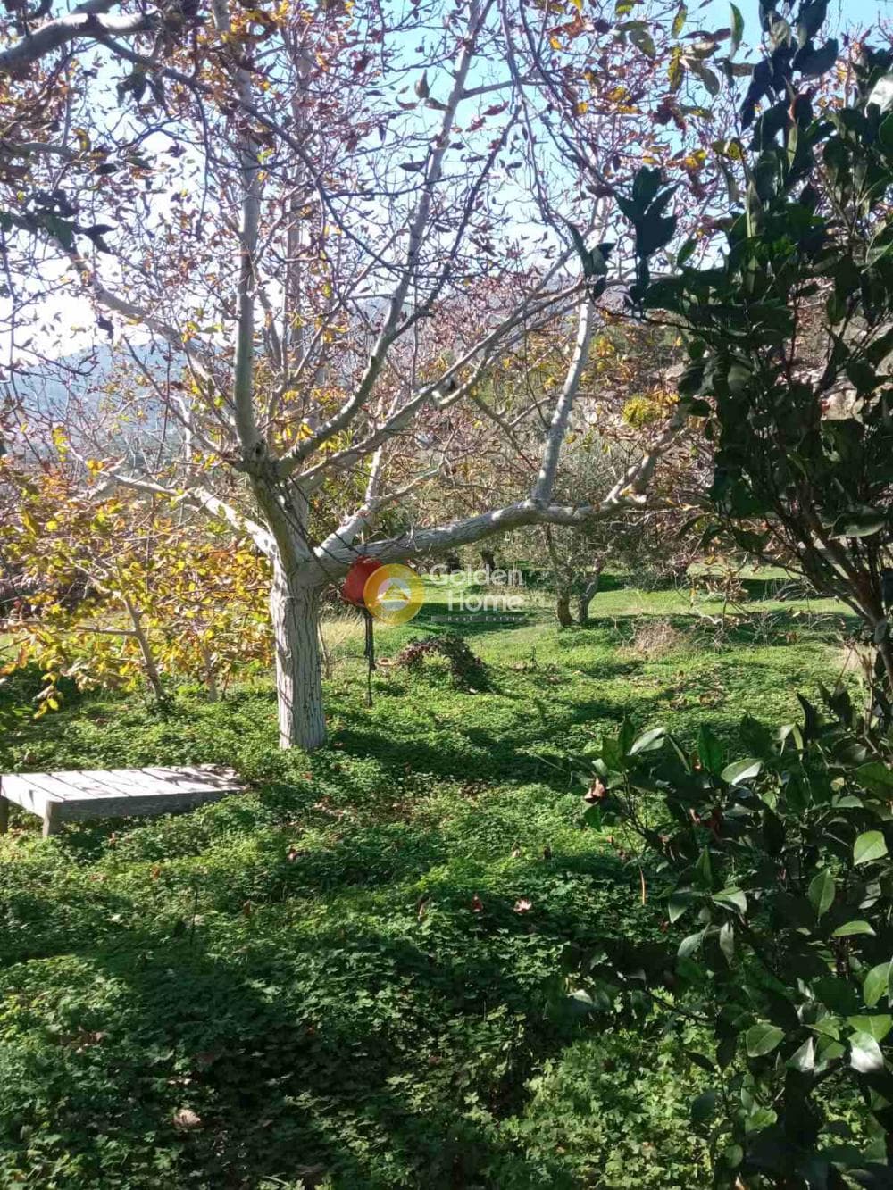 Building Plot in Kato Archanes, Archanes — Photo 7 of 10