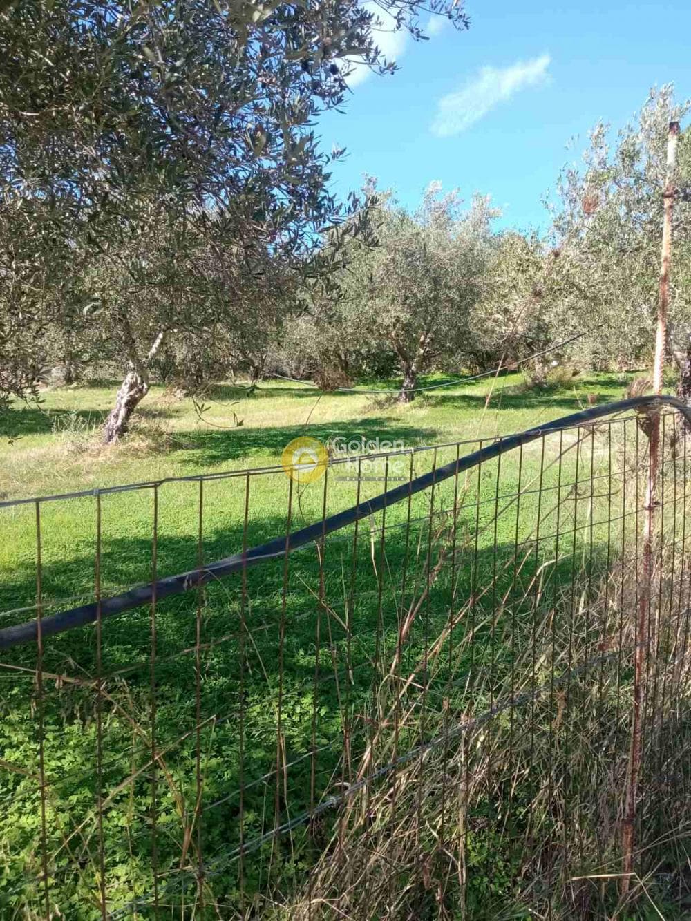 Building Plot in Kato Archanes, Archanes — Photo 8 of 10