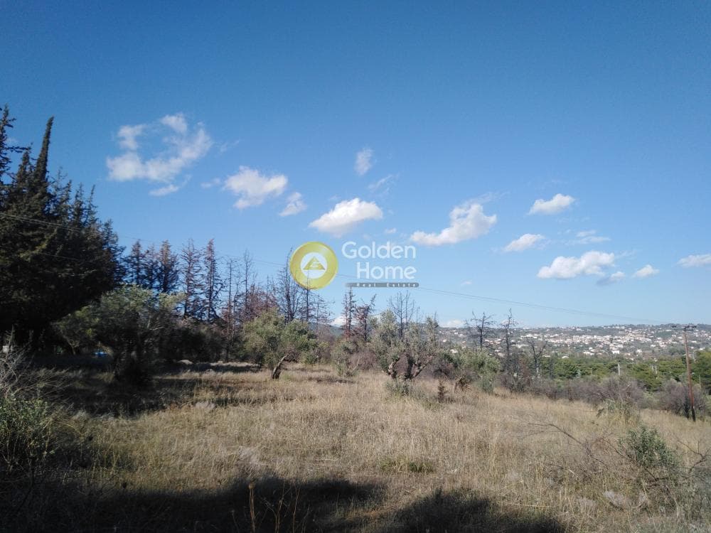 Οικόπεδο στην Κιούρκα, Αφίδνες — Φωτογραφία 3 από 3