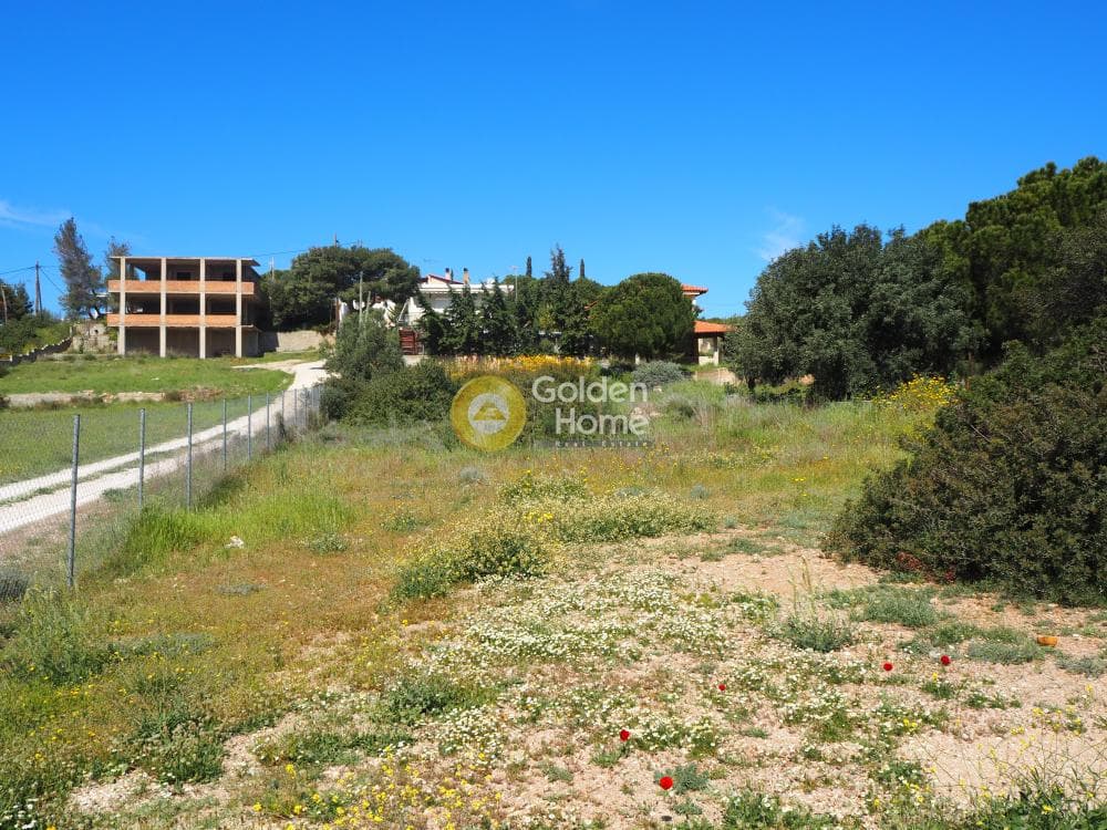 Οικόπεδο στην Καλύβια, Καλύβια Θορικού — Φωτογραφία 6 από 7