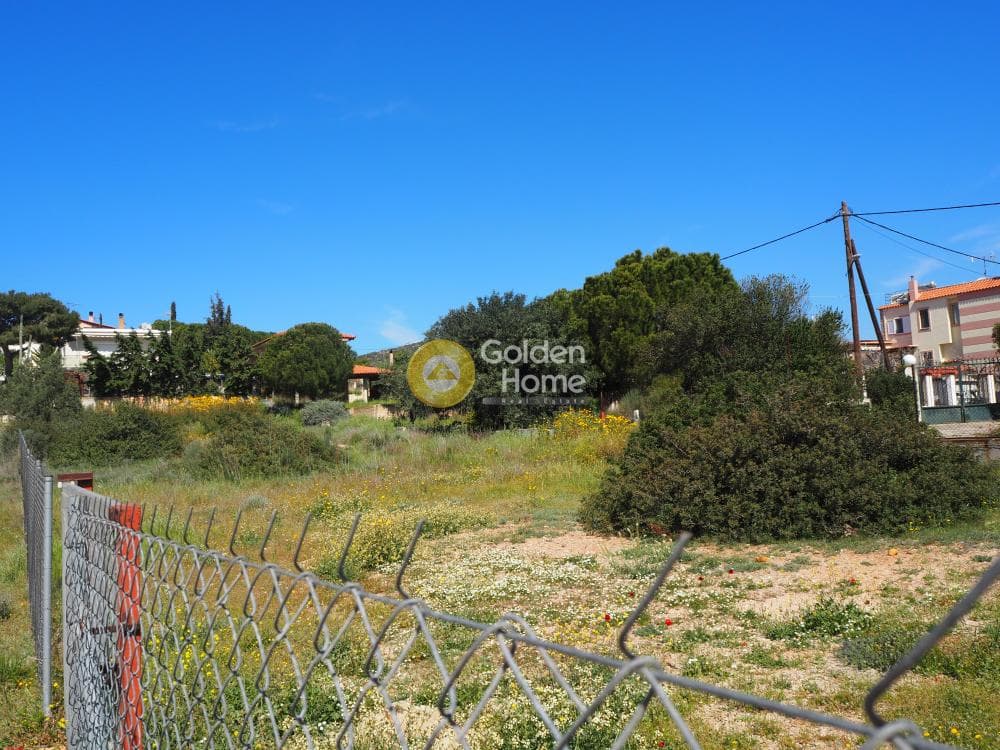 Building Plot in Kalivia, Kalivia Thorikou — Photo 3 of 6