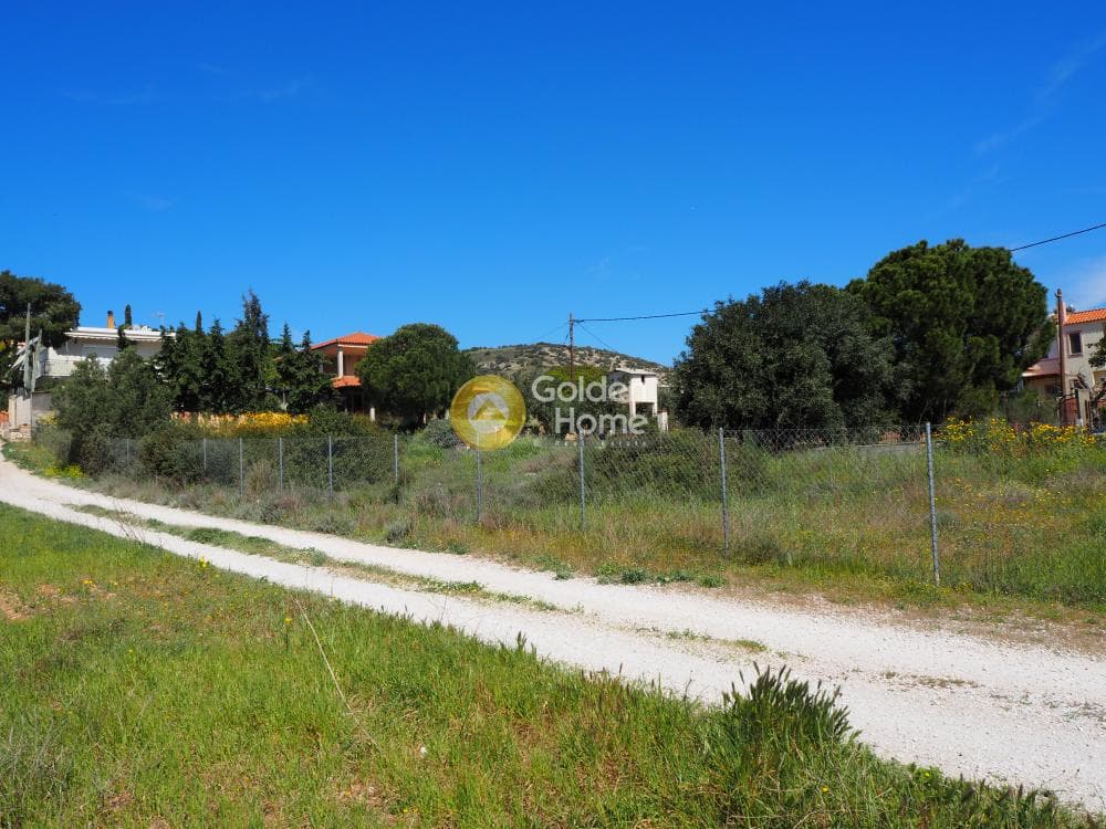Building Plot in Kalivia, Kalivia Thorikou — Photo 5 of 7