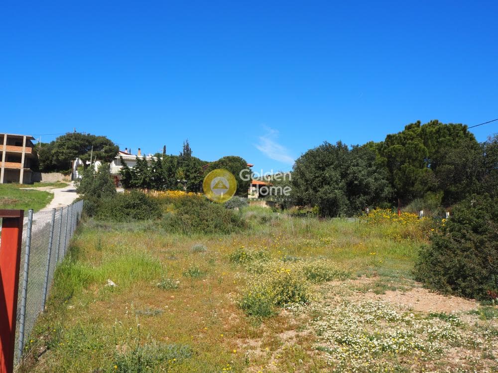 Building Plot in Kalivia, Kalivia Thorikou — Photo 3 of 7