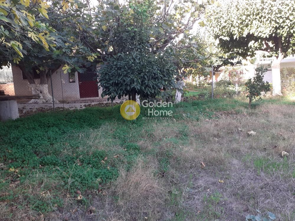 Parcel in Ikismos Aiolos, Rafina — Photo 1 of 6