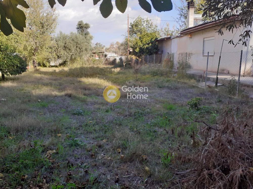 Parcel in Ikismos Aiolos, Rafina — Photo 2 of 6