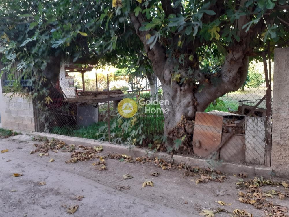 Parcel in Ikismos Aiolos, Rafina — Photo 3 of 6