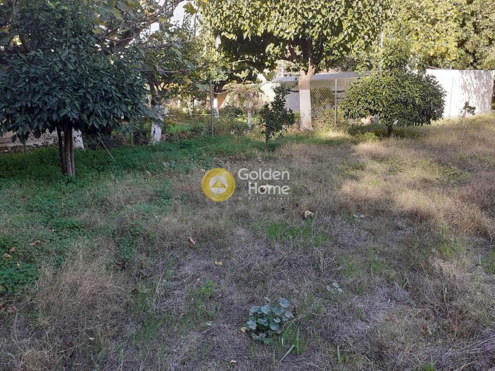 Parcel in Ikismos Aiolos, Rafina — Photo 4 of 6