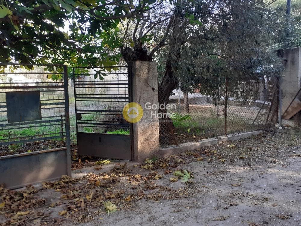Parcel in Ikismos Aiolos, Rafina — Photo 5 of 6