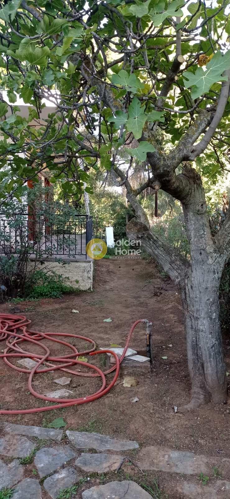 Οικόπεδο στην Νέα Κηφισιά, Κηφισιά — Φωτογραφία 3 από 18