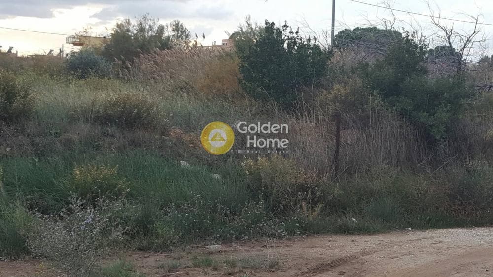 Οικόπεδο στην Κέντρο, Αρτέμιδα (Λούτσα) — Φωτογραφία 5 από 10