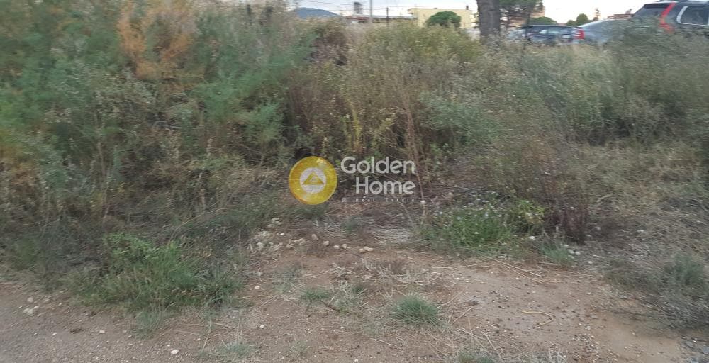 Οικόπεδο στην Κέντρο, Αρτέμιδα (Λούτσα) — Φωτογραφία 10 από 10