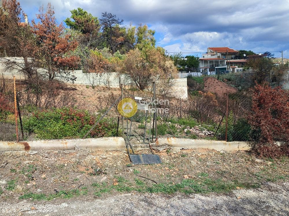 Building Plot in Anthousa, Anthoisa — Photo 3 of 4