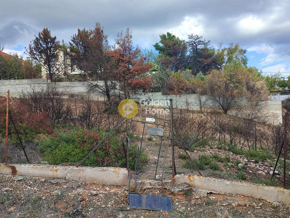 Building Plot in Anthousa, Anthoisa — Photo 4 of 4