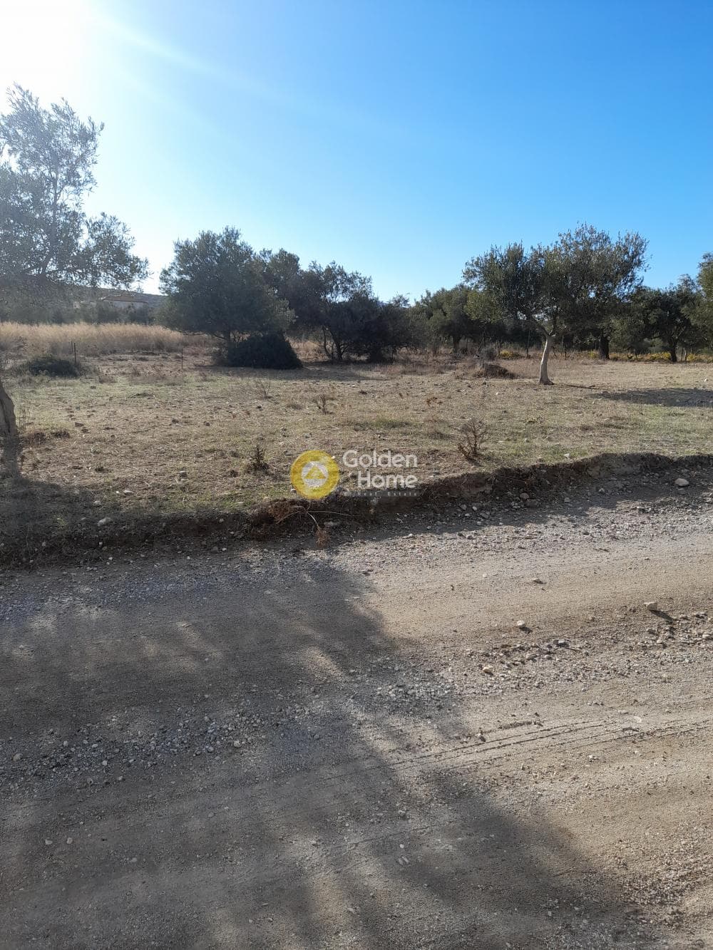 Αγροτεμάχιο στην Μανούτσο, Κερατέα — Φωτογραφία 5 από 7