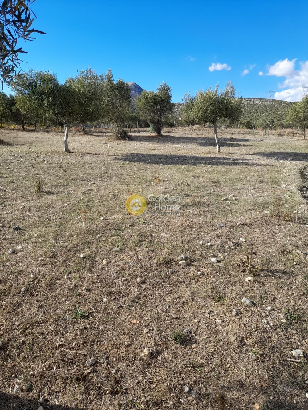 Αγροτεμάχιο στην Μανούτσο, Κερατέα — Φωτογραφία 6 από 7