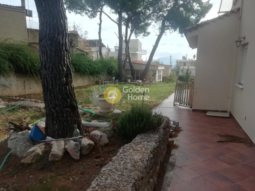 House in Megala Sxoinia A, Acharnes — Photo 34 of 37