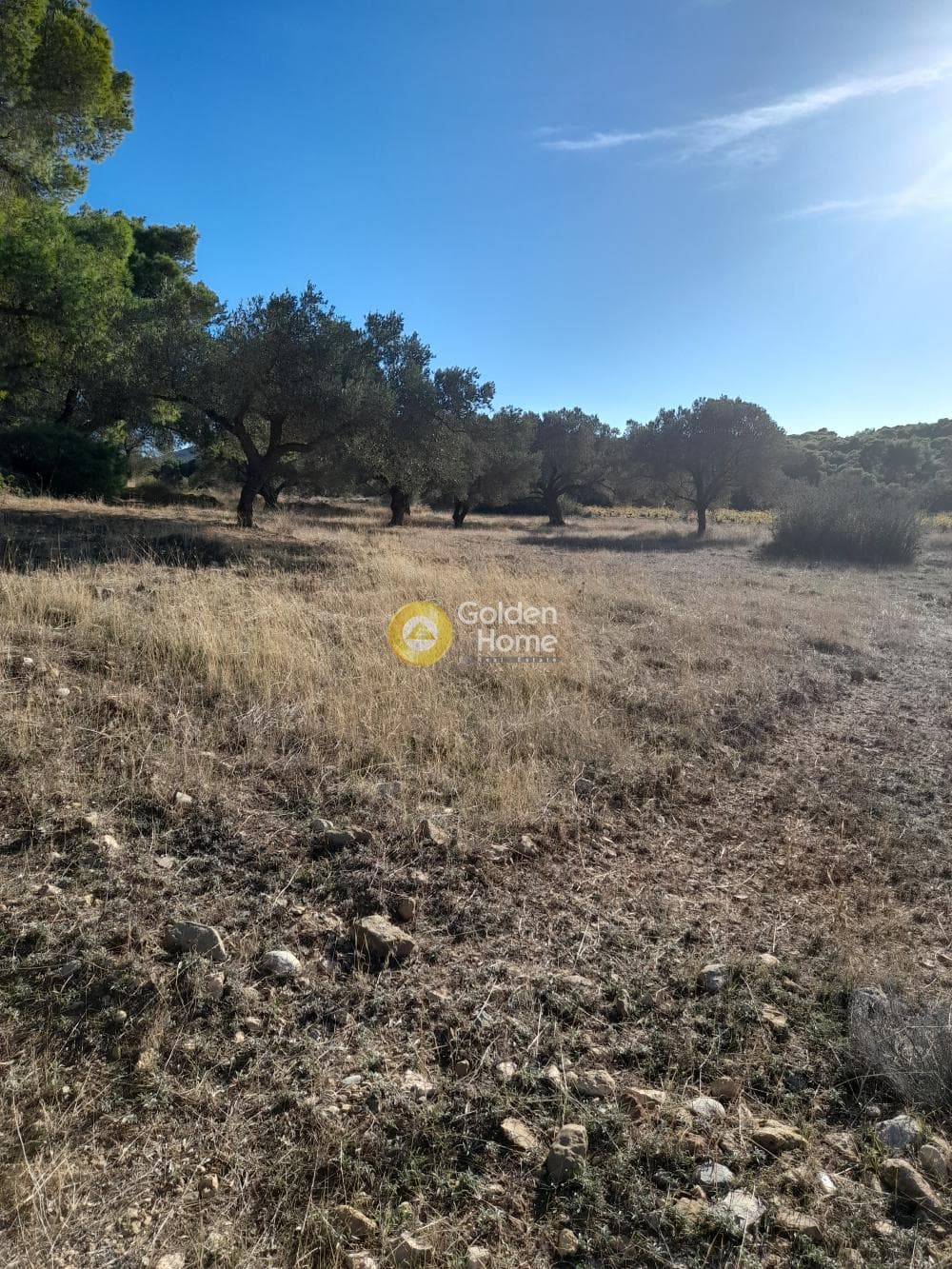 Parcel in Charvalo, Keratea — Photo 1 of 2