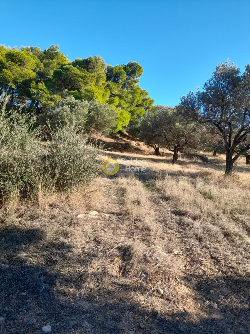 Parcel in Charvalo, Keratea — Photo 2 of 2