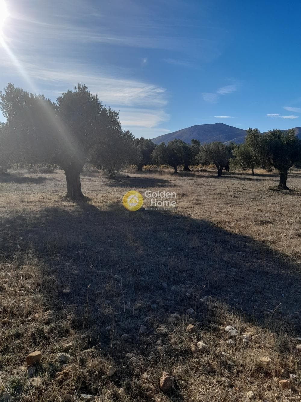 Αγροτεμάχιο στην Αρί, Ανάβυσσος — Φωτογραφία 2 από 2