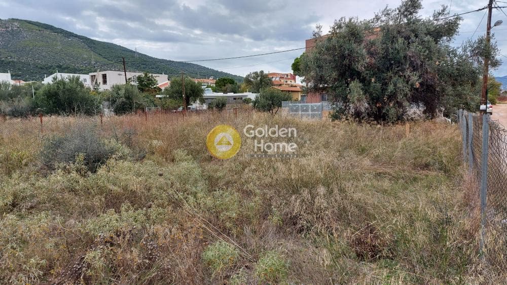 Οικόπεδο στην Αγία Τριάδα, Παιανία — Φωτογραφία 3 από 5