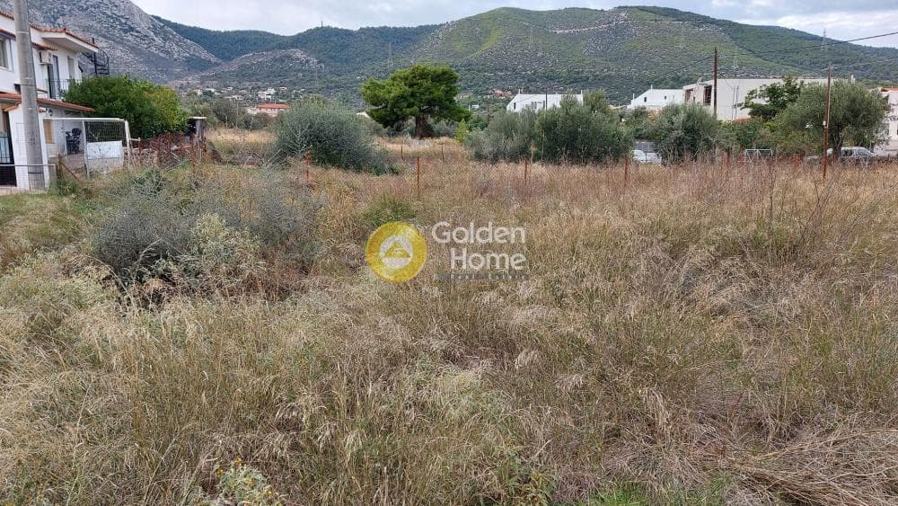 Οικόπεδο στην Αγία Τριάδα, Παιανία — Φωτογραφία 4 από 5