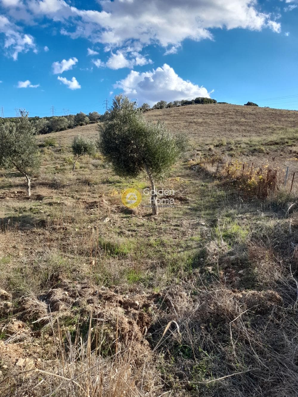 Αγροτεμάχιο στην Μανούτσο, Κερατέα