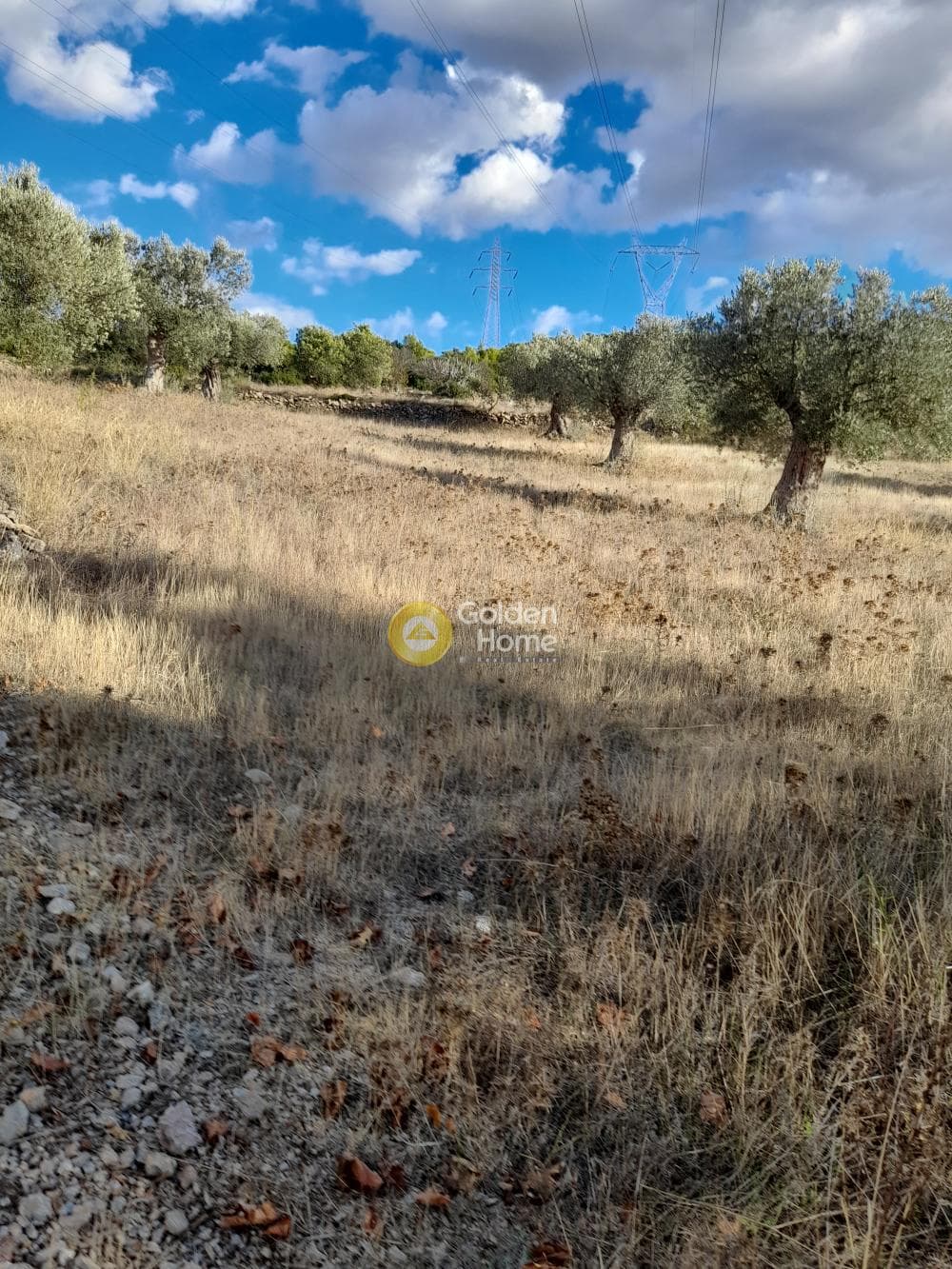 Parcel in Manoutso, Keratea — Photo 1 of 2