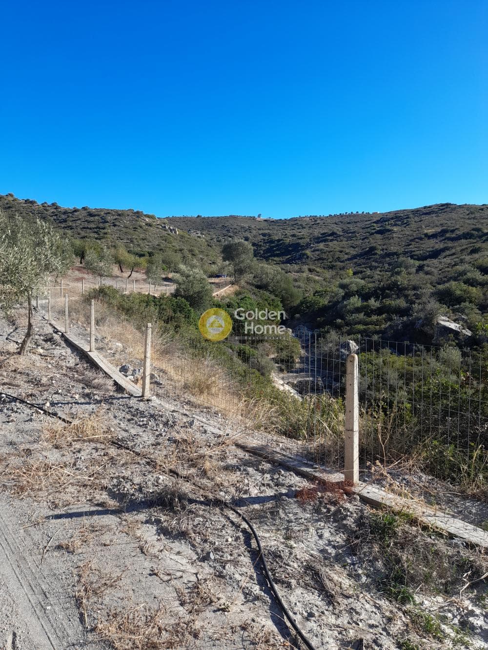 Αγροτεμάχιο στην Αρί, Ανάβυσσος — Φωτογραφία 1 από 8