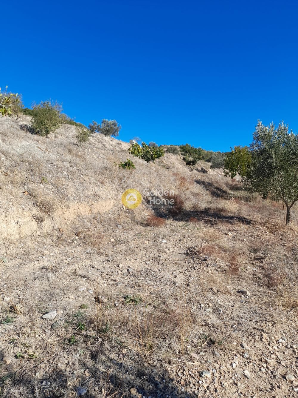 Αγροτεμάχιο στην Αρί, Ανάβυσσος — Φωτογραφία 2 από 8