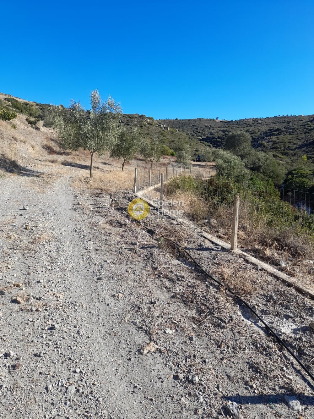 Αγροτεμάχιο στην Αρί, Ανάβυσσος — Φωτογραφία 4 από 8