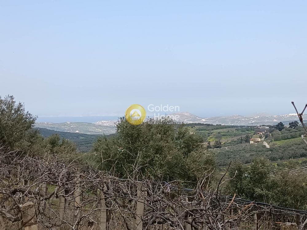 Αγροτεμάχιο στην Κουνάβοι, Αρχάνες — Φωτογραφία 1 από 4
