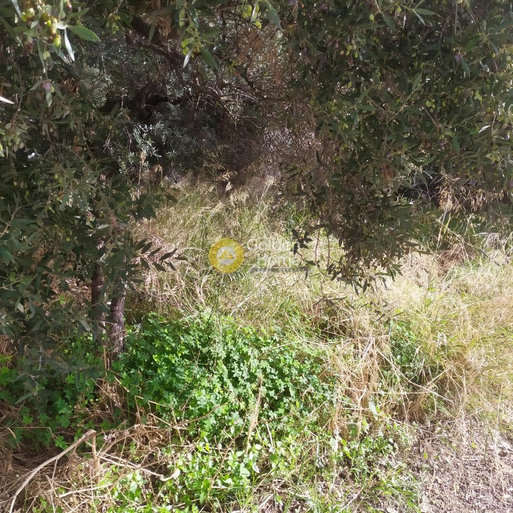 Οικόπεδο στην Άγιος Ιωάννης Κνωσσού, Ηράκλειο Κρήτης — Φωτογραφία 3 από 7