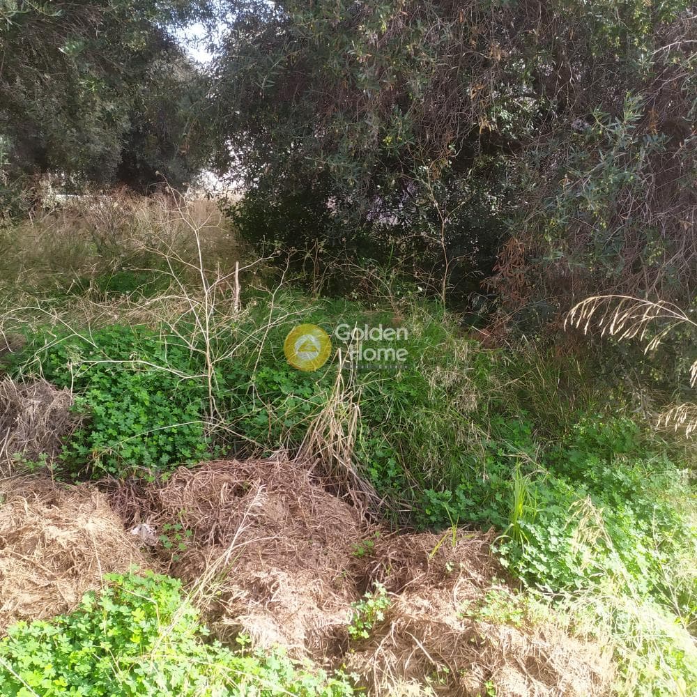 Οικόπεδο στην Άγιος Ιωάννης Κνωσσού, Ηράκλειο Κρήτης — Φωτογραφία 4 από 7