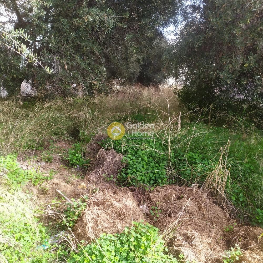Οικόπεδο στην Άγιος Ιωάννης Κνωσσού, Ηράκλειο Κρήτης — Φωτογραφία 5 από 7