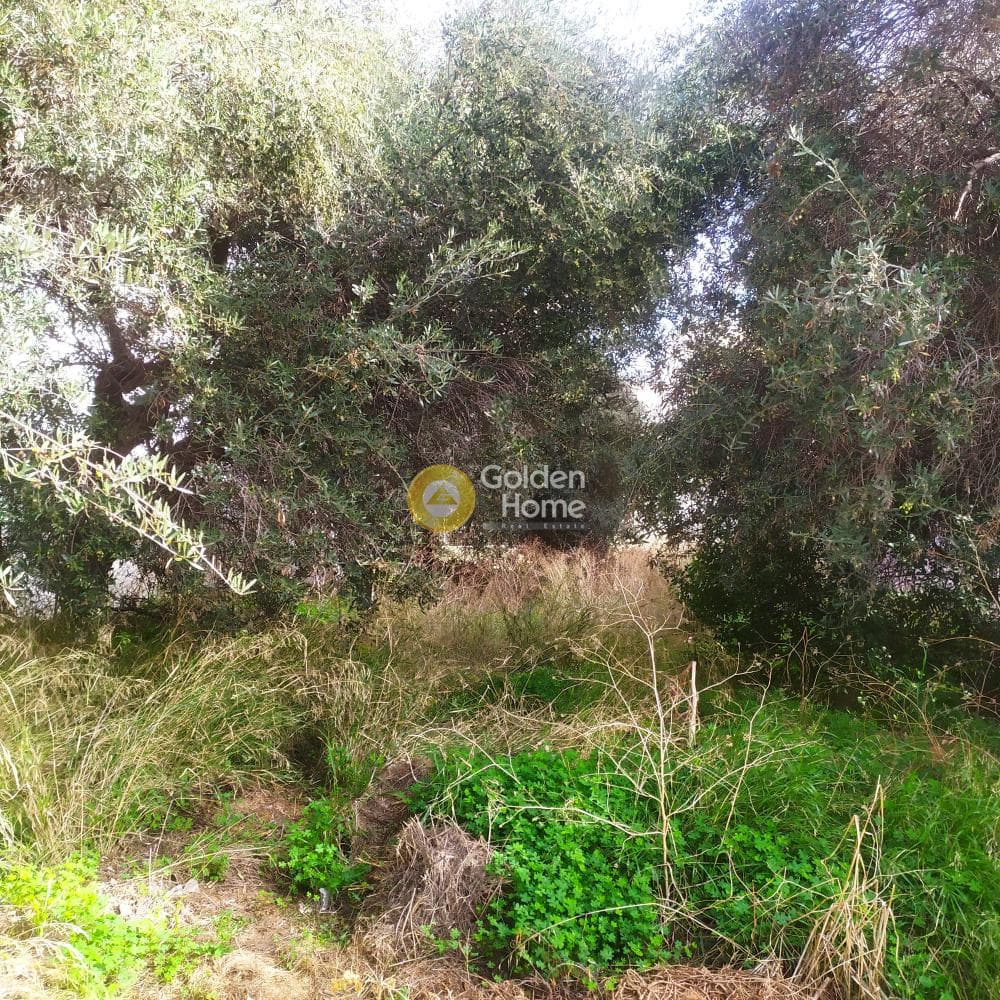 Οικόπεδο στην Άγιος Ιωάννης Κνωσσού, Ηράκλειο Κρήτης — Φωτογραφία 6 από 7