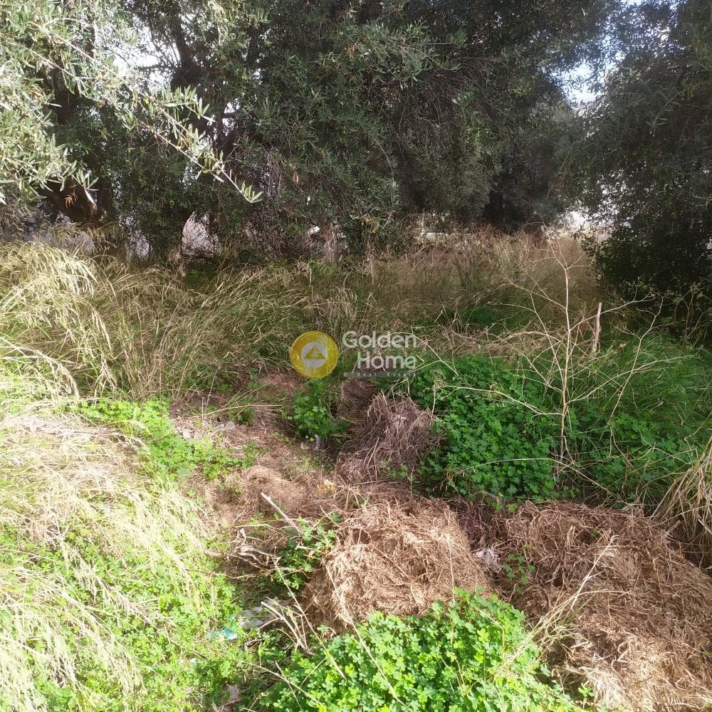 Οικόπεδο στην Άγιος Ιωάννης Κνωσσού, Ηράκλειο Κρήτης — Φωτογραφία 7 από 7