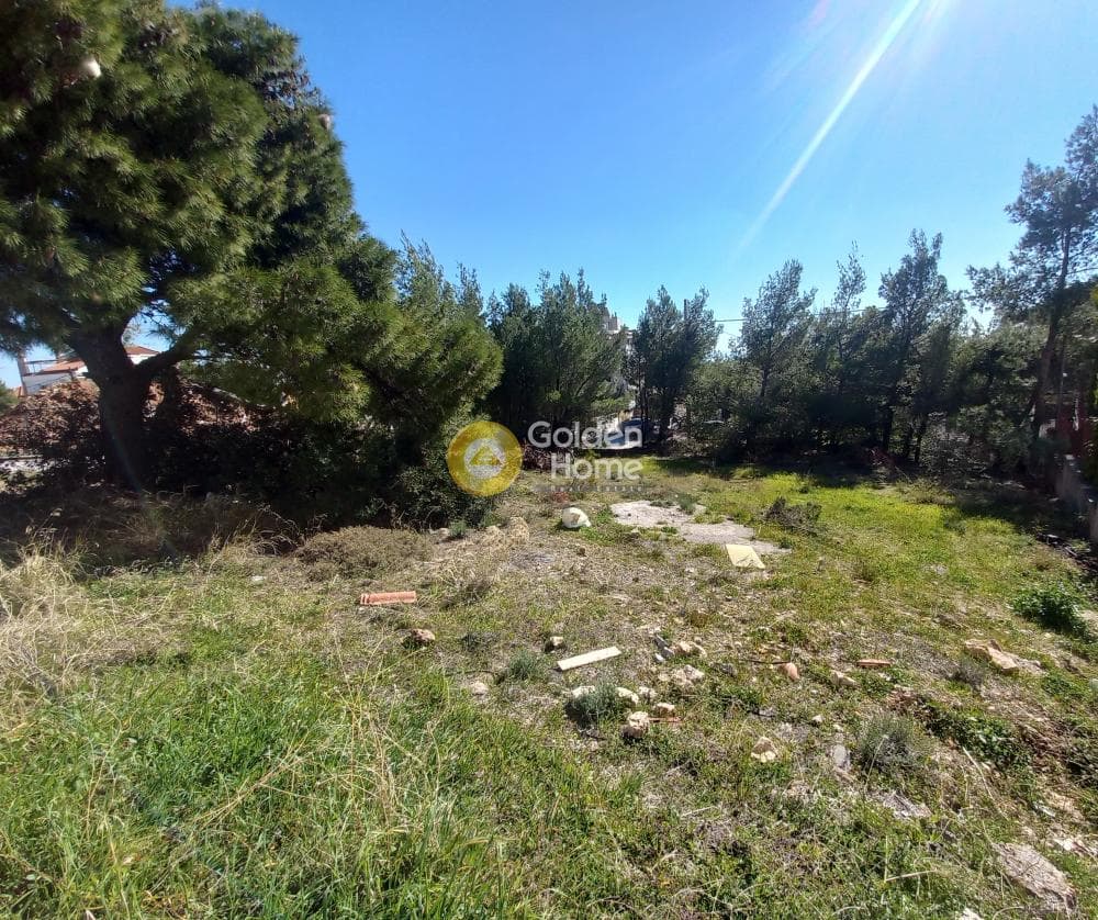 Building Plot in Neos Voutzas, Rafina — Photo 2 of 3