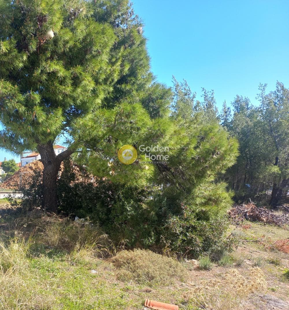 Building Plot in Neos Voutzas, Rafina — Photo 3 of 3