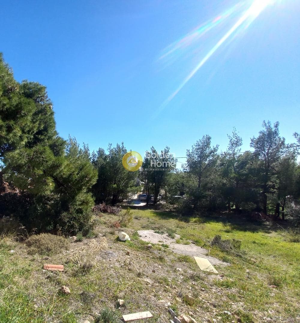 Building Plot in Neos Voutzas, Rafina — Photo 1 of 3
