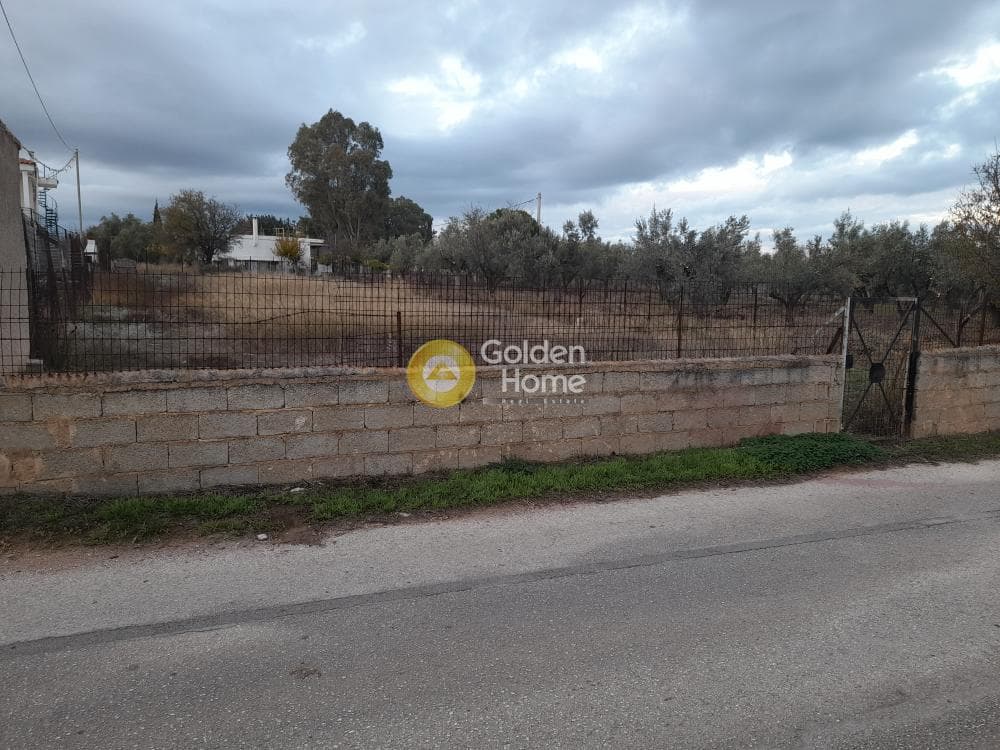 Parcel in Neapoli, Spata