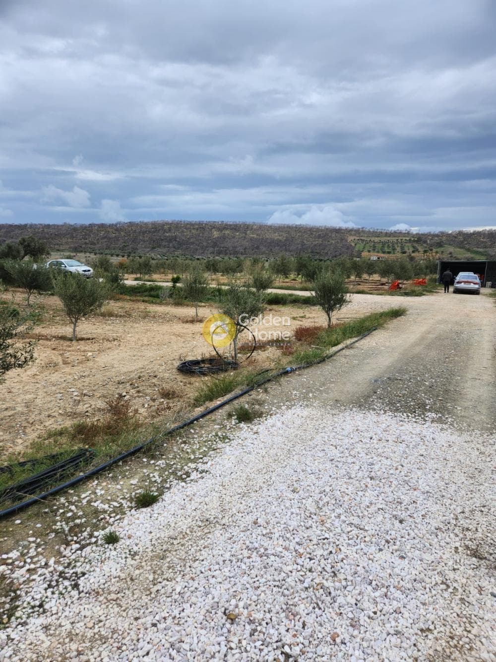 Parcel in Kalivia, Kalivia Thorikou — Photo 1 of 7