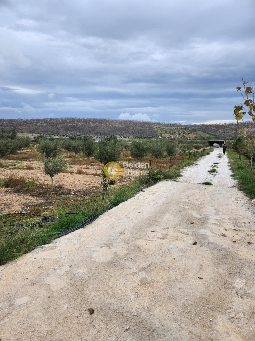 Parcel in Kalivia, Kalivia Thorikou — Photo 3 of 7