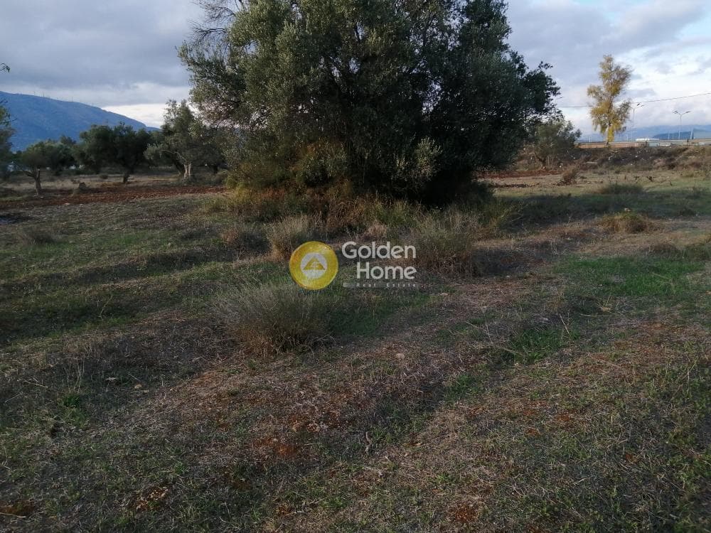 Parcel in Center, Koropi — Photo 2 of 6