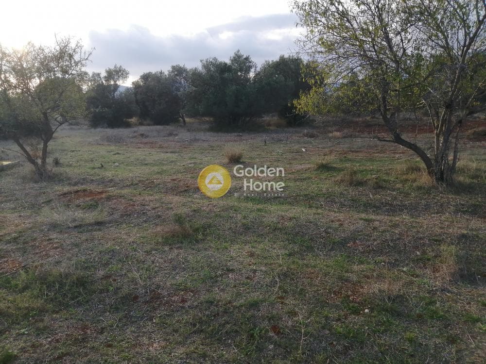 Parcel in Center, Koropi — Photo 3 of 6