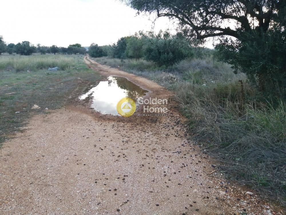 Parcel in Center, Koropi — Photo 5 of 6
