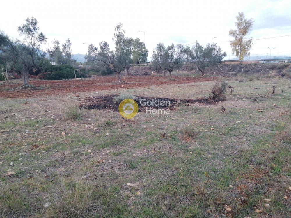 Parcel in Center, Koropi — Photo 1 of 6