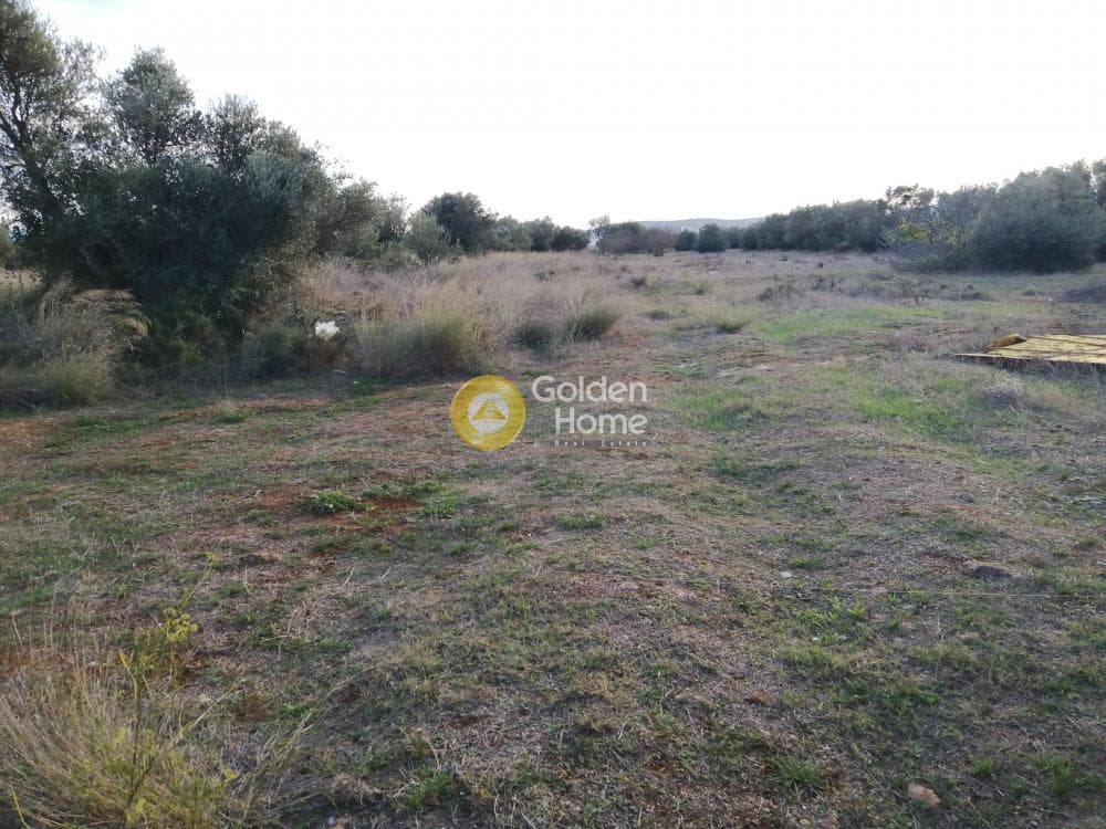 Parcel in Center, Koropi — Photo 4 of 6